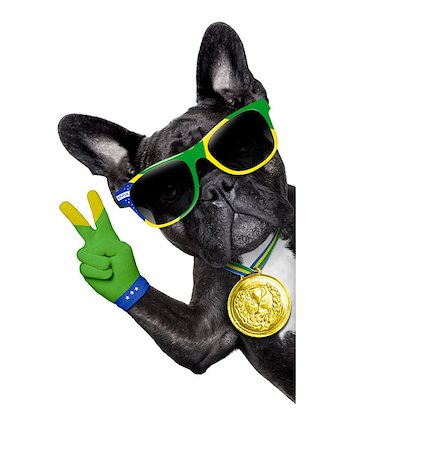 dog fan - brazil soccer dog  with peace fingers  beside a white blank  banner or placard Stock Photo - Budget Royalty-Free & Subscription, Code: 400-07576504