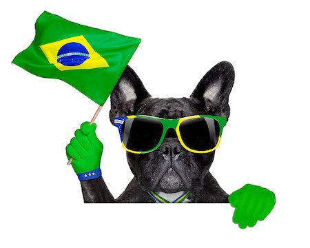 dog fan - brazil soccer dog  waving a flag above white blank  banner or placard Stock Photo - Budget Royalty-Free & Subscription, Code: 400-07576506