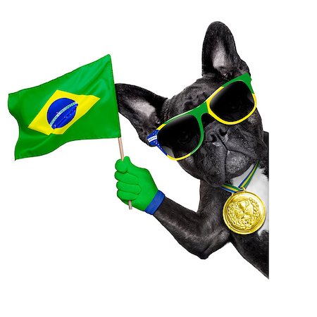 dog fan - brazil soccer dog  with flag  beside a white blank banner or placard Stock Photo - Budget Royalty-Free & Subscription, Code: 400-07576501