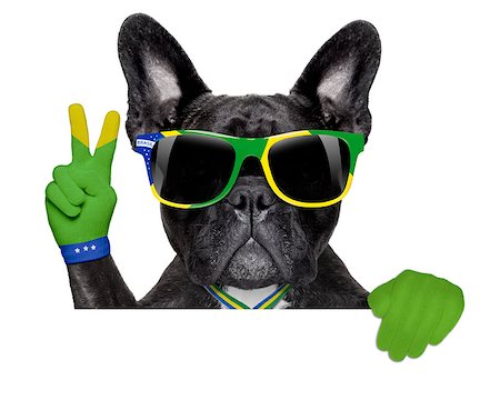 dog fan - brazil soccer dog  with victory or peace fingers above blank white banner or placard Stock Photo - Budget Royalty-Free & Subscription, Code: 400-07576503
