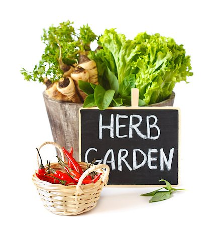 simsearch:400-07578178,k - Fresh kitchen garden herbs and vegetables. Stock Photo - Budget Royalty-Free & Subscription, Code: 400-07578178