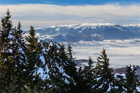 simsearch:400-07298343,k - winter landscape in Piatra Craiului Mountains, Romania Fotografie stock - Microstock e Abbonamento, Codice: 400-07578527