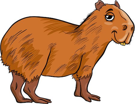 simsearch:400-09121641,k - Cartoon Illustration of Funny Capybara Animal Foto de stock - Super Valor sin royalties y Suscripción, Código: 400-07578821