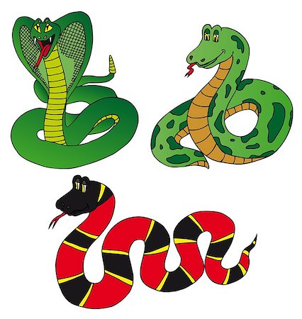 spiral tails of animals - Various collection snake - vector illustration. Stock Photo - Budget Royalty-Free & Subscription, Code: 400-07578862