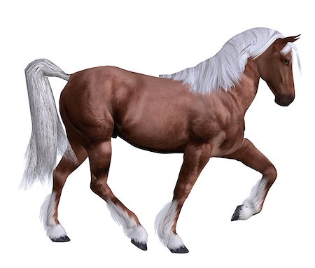 Digitally rendered illustration of a beautiful red horse on white background. Foto de stock - Super Valor sin royalties y Suscripción, Código: 400-07579457