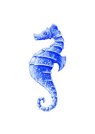 dragon color blue - Seahorse. Watercolor illustration on a white background Stock Photo - Budget Royalty-Free & Subscription, Code: 400-07579624