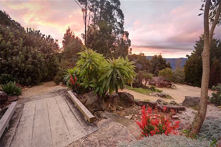 Nature path meandering through the beautiful and tranquil Blue Mountains, NSW Australia at sunset Stock Photo - Budget Royalty-Free & Subscription, Code: 400-07570798