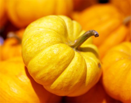 Pumpkin photographed closeup natural a tasty food Foto de stock - Super Valor sin royalties y Suscripción, Código: 400-07570881