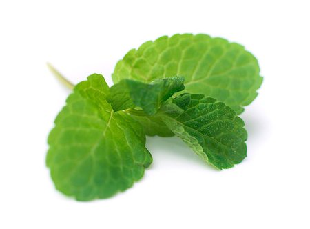 simsearch:400-06531157,k - mint leaves isolated on white background Foto de stock - Royalty-Free Super Valor e Assinatura, Número: 400-07571482