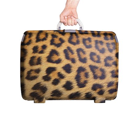 Used plastic suitcase with stains and scratches, leopard print Stock Photo - Budget Royalty-Free & Subscription, Code: 400-07572009