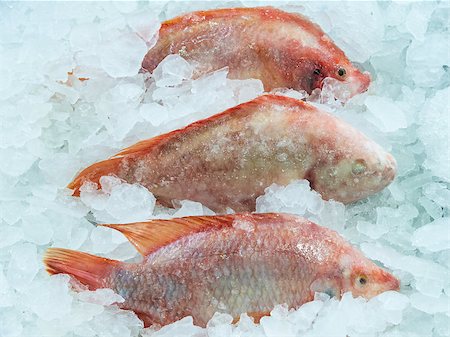 Fresh red fish in the ice tray. Foto de stock - Royalty-Free Super Valor e Assinatura, Número: 400-07572500