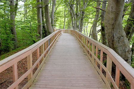 simsearch:400-08348471,k - Wooden Trail in a sunny forest Stockbilder - Microstock & Abonnement, Bildnummer: 400-07572903