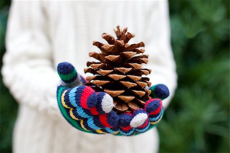 simsearch:400-09222788,k - close-up of tree cone, child holding it in his hands, christmas tree at the background Photographie de stock - Aubaine LD & Abonnement, Code: 400-07572954