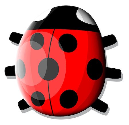 simsearch:400-08046771,k - Ladybug Stock Photo - Budget Royalty-Free & Subscription, Code: 400-07573982