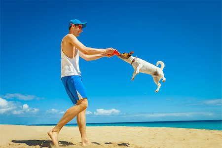 dog catching a red frisbee with owner playing together Stock Photo - Budget Royalty-Free & Subscription, Code: 400-07580394