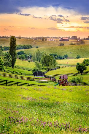 Beautiful evening scene in Kentucky's Bluegrass region Foto de stock - Super Valor sin royalties y Suscripción, Código: 400-07580665