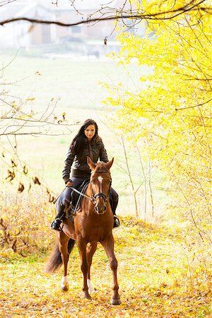 simsearch:400-07615021,k - equestrian on horseback in autumnal nature Stock Photo - Budget Royalty-Free & Subscription, Code: 400-07615018
