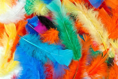 simsearch:400-05080016,k - background of colored feathers of birds Foto de stock - Super Valor sin royalties y Suscripción, Código: 400-07615717