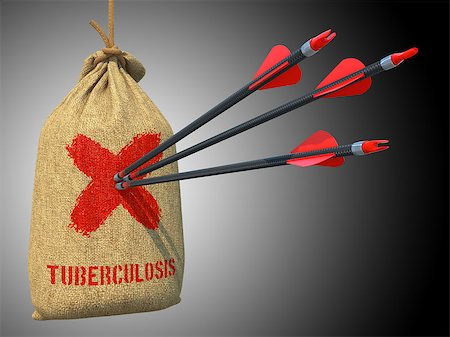 simsearch:400-07745360,k - Tuberculosis  - Three Arrows Hit in Red Mark Target on a Hanging Sack on Grey Background. Photographie de stock - Aubaine LD & Abonnement, Code: 400-07615877