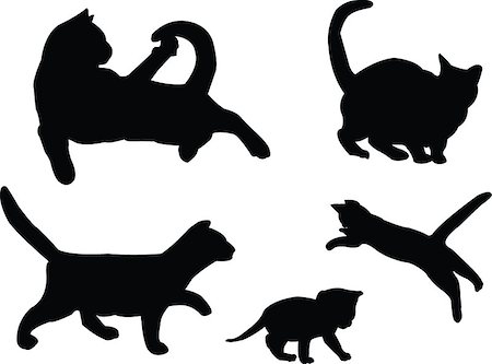 simsearch:400-05144395,k - illustration of cats collection - vector Foto de stock - Super Valor sin royalties y Suscripción, Código: 400-07616379