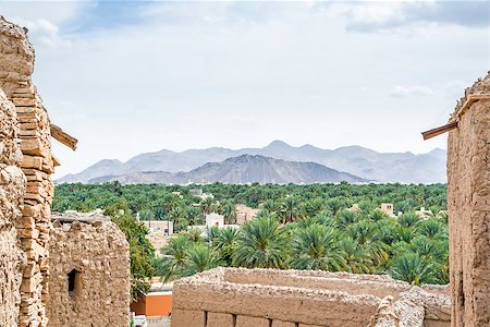 simsearch:400-07557664,k - Image of a view from Birkat al mud in Oman Stock Photo - Budget Royalty-Free & Subscription, Code: 400-07618477