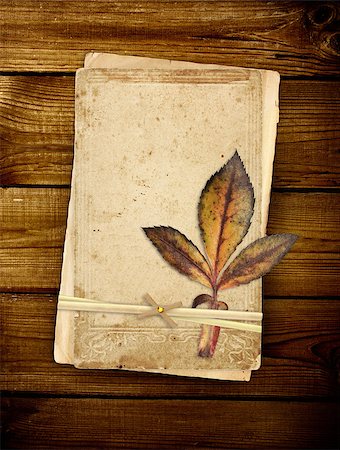 simsearch:400-07620929,k - Old cards and dry leaf on wooden planks Stock Photo - Budget Royalty-Free & Subscription, Code: 400-07618778