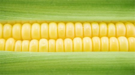 simsearch:846-03164472,k - corn cob between green leaves . Stock Photo - Budget Royalty-Free & Subscription, Code: 400-07613184