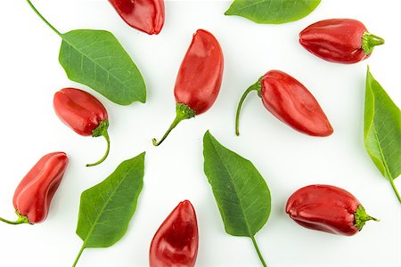 red hot chili pepper with leaves on a white background Photographie de stock - Aubaine LD & Abonnement, Code: 400-07613228