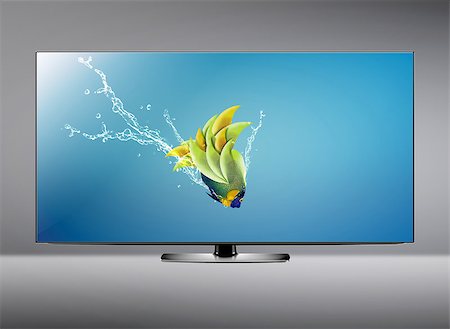 simsearch:400-07290864,k - Black LCD tv screen and fish with water splash .  (with clipping work path) Photographie de stock - Aubaine LD & Abonnement, Code: 400-07613286