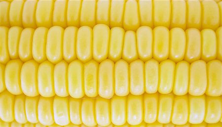 simsearch:846-03164472,k - corn cob between green leaves . Stock Photo - Budget Royalty-Free & Subscription, Code: 400-07613352