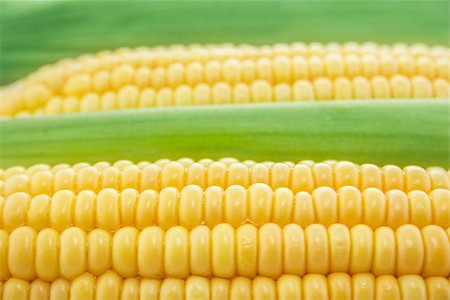 simsearch:846-03164472,k - corn cob between green leaves . Stock Photo - Budget Royalty-Free & Subscription, Code: 400-07613387
