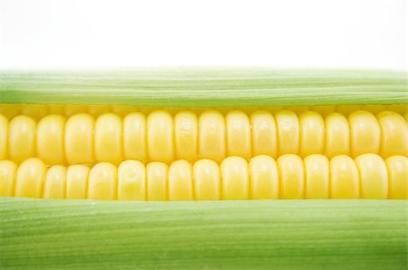 simsearch:824-07310382,k - corn cob between green leaves . Stockbilder - Microstock & Abonnement, Bildnummer: 400-07613619