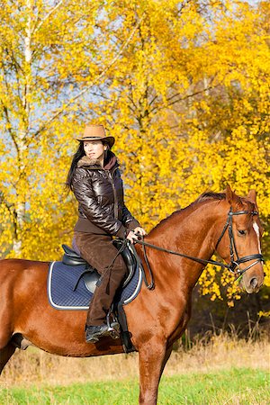 simsearch:400-07615021,k - equestrian on horseback in autumnal nature Stock Photo - Budget Royalty-Free & Subscription, Code: 400-07613820