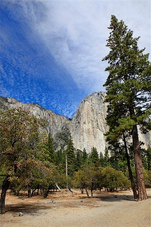 Yosemite National Park in California. United States of America Stock Photo - Budget Royalty-Free & Subscription, Code: 400-07624123