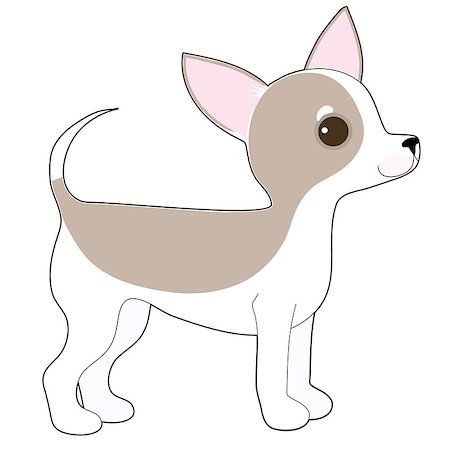 simsearch:400-07658326,k - A cartoon drawing of a cute little Chihuahua Stock Photo - Budget Royalty-Free & Subscription, Code: 400-07624360
