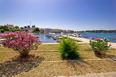 simsearch:400-07633210,k - Adriatic town of Petrcane waterfront, Dalmatia, Croatia Stock Photo - Budget Royalty-Free & Subscription, Code: 400-07624992
