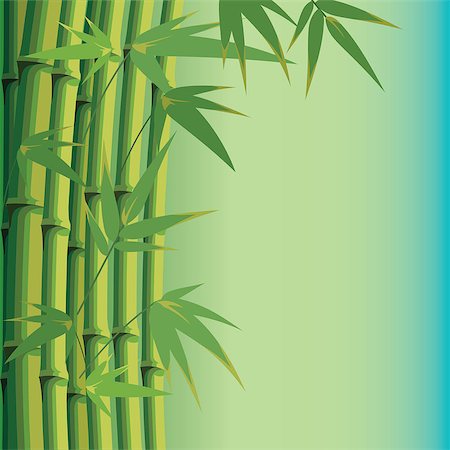 simsearch:400-07035863,k - vector background with bamboo leaves and stems Stockbilder - Microstock & Abonnement, Bildnummer: 400-07625089