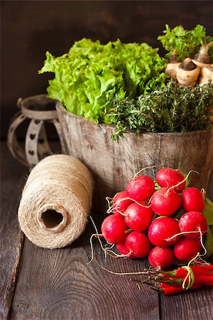 roots of aroma - Fresh kitchen garden vegetables and herbs. Stock Photo - Budget Royalty-Free & Subscription, Code: 400-07626077