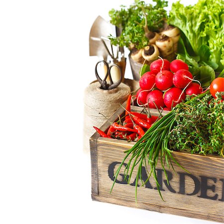 simsearch:400-05678242,k - Fresh organic kitchen garden vegetables on vintage wooden box on a white close-up. Foto de stock - Super Valor sin royalties y Suscripción, Código: 400-07626147