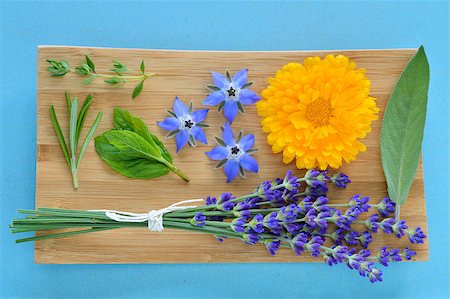 Summer herbs and edible flowers on wooden plate on blue background. Thyme, Rosemary, Mint, borage (borago), marigold (Calendula officinalis), Salvia and Lavender (Lavandula). Also beauty care. Stockbilder - Microstock & Abonnement, Bildnummer: 400-07626549