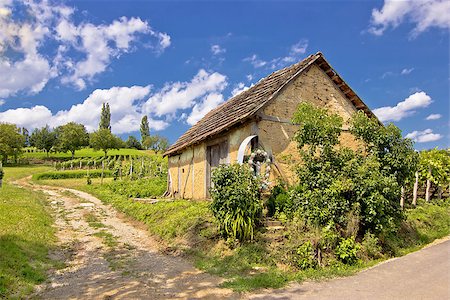 Vineyards and mud made cottage in Prigorje region, Croatia Foto de stock - Super Valor sin royalties y Suscripción, Código: 400-07626655