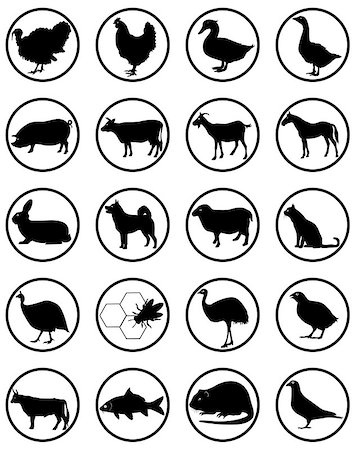 black silhouettes of animals in circles on a white background Foto de stock - Super Valor sin royalties y Suscripción, Código: 400-07626711
