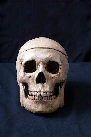 eddtoro35 (artist) - Human skull against a black fabric background. Stock Photo - Budget Royalty-Free & Subscription, Code: 400-07626820