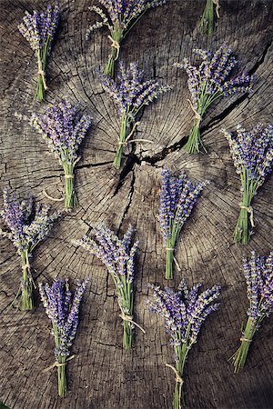 simsearch:400-05372314,k - Lavender background. Lavender flower bunch on wood. Floral background Stockbilder - Microstock & Abonnement, Bildnummer: 400-07626969