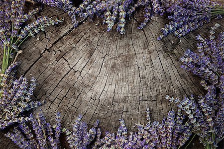 simsearch:400-05372314,k - Lavender background. Lavender flower bunch on wood. Floral background Stockbilder - Microstock & Abonnement, Bildnummer: 400-07626970
