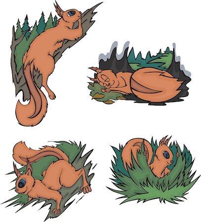 simsearch:400-08258875,k - Life of comic squirrels. Set of vector illustrations. Stock Photo - Budget Royalty-Free & Subscription, Code: 400-07627114