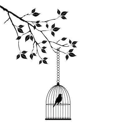 drawing and bird cage - vector bird cage in the tree Stock Photo - Budget Royalty-Free & Subscription, Code: 400-07627701