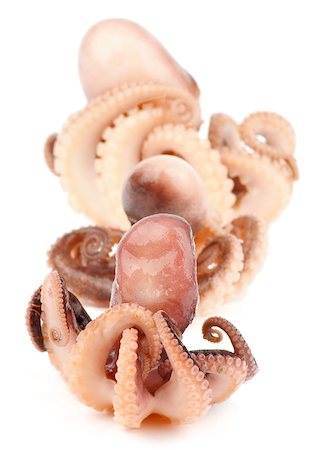 Three Gourmet Smoked Octopuses Full Body In a Row isolated on white background Foto de stock - Super Valor sin royalties y Suscripción, Código: 400-07627905