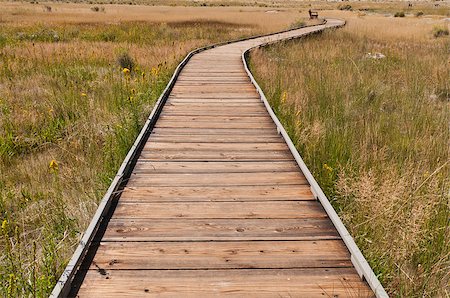 simsearch:400-03976229,k - Boardwalk across Mono Lake grassland near Lee Vining, California Photographie de stock - Aubaine LD & Abonnement, Code: 400-07628628