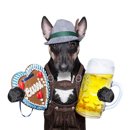 simsearch:400-08163219,k - bavarian oktoberfest dog  with beer mug and gingerbread heart Photographie de stock - Aubaine LD & Abonnement, Code: 400-07628687